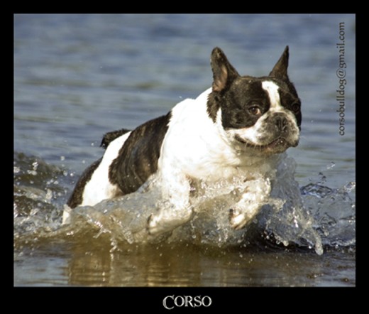 Busco novia!!! Busco novia!!!